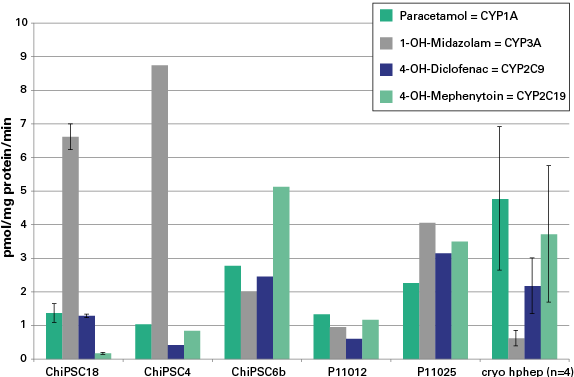 Human iPS cell-derived hepatocytes CYP activity