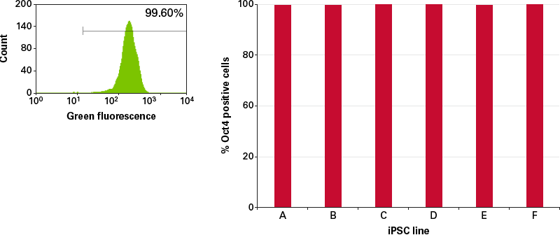 Analysis of 6 iPS cell lines for Oct4 expression by flow cytometry