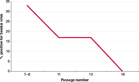 Sendai virus is undetectable after Passage 18