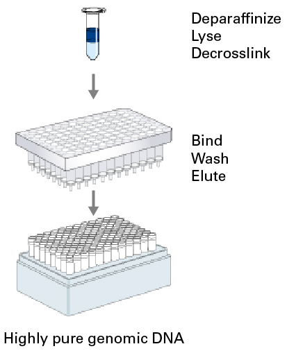 NucleoSpin 96 DNA FFPE procedure