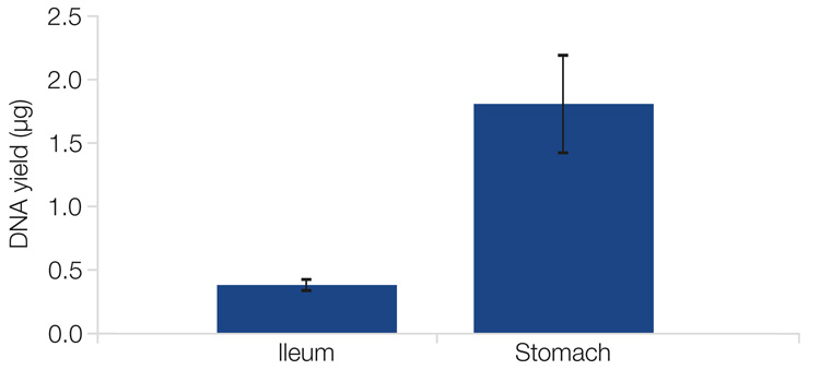 Reliable DNA yield using NucleoSpin 96 DNA FFPE.