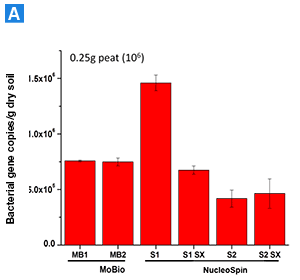 DNA isolation from peat (250 mg)