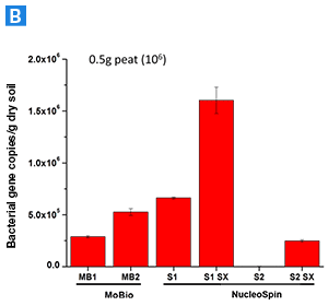 DNA isolation from peat (500 mg)