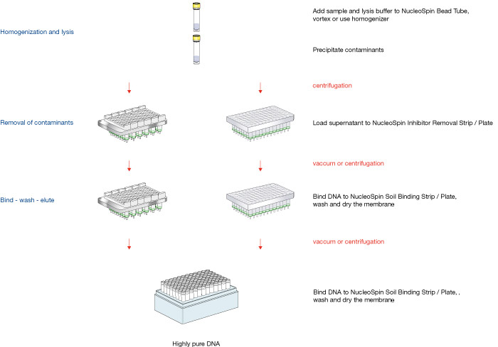 NucleoSpin 8/96 Soil procedure