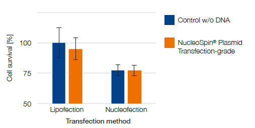 Examining cell viability after transfection with plasmid purified using NucleoSpin Plasmid Transfection-grade kit.