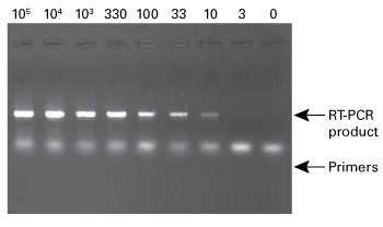 NucleoSpin RNA can isolate total RNA from 10 cells.