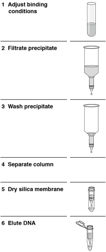 Desalt and concentrate plasmid midipreps and maxipreps.