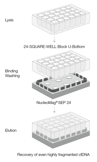 Protocol schematic