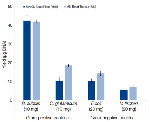 Efficient DNA extraction using either bead-plate or single-tube homogenization