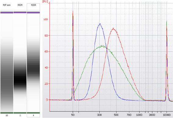 Examples of double-sided size selection using NucleoMag NGS Clean-up and Size Select