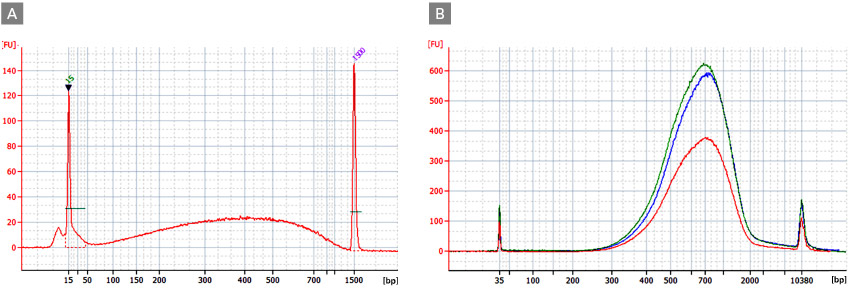 Fragment size analysis for NGS libraries prepared using size-selection beads from various providers