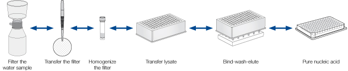 Overview of NucleoMag DNA/RNA workflow for 96 samples