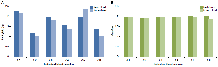 Consistent RNA yield and quality from fresh or frozen blood samples