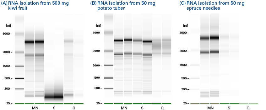 NucleoSpin RNA Plant