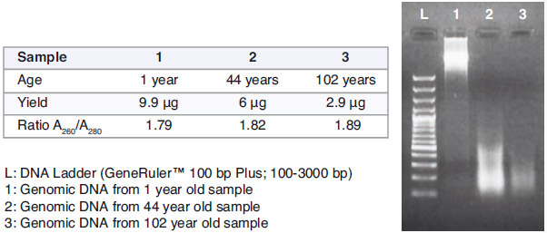 Isolation of DNA from aged tissue samples