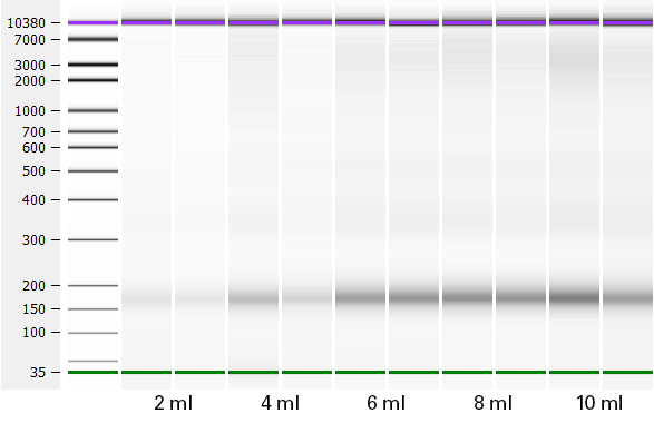 Consistent recovery of cfDNA regardless of plasma volume.