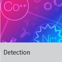 SDS-PAGE & Western blotting