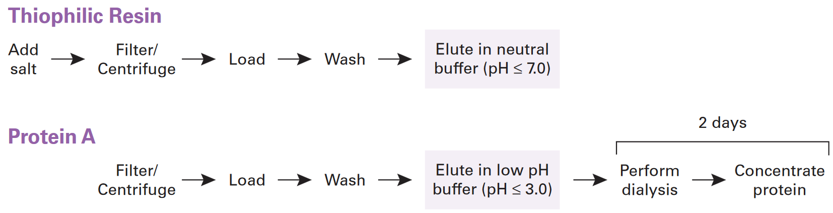 Thiophilic Resin purifies antibodies at neutral pH and in less time than Protein A