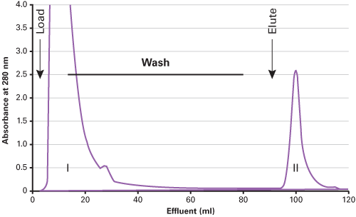 Figure 5. Thiophilic-Superflow Resin purifies IgG at a high flow rate and neutral pH.