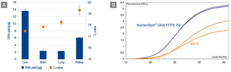 Demonstration of the outstanding yield and performance of our NucleoMag and NucleoSpin kits for DNA extraction from FFPE tissues.