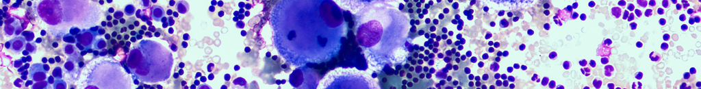 Biobanked FFPE samples are often used for immunohistochemical and staining analyses