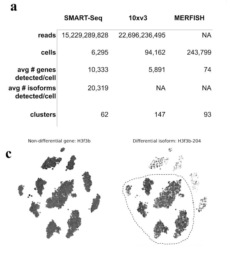 Isoform detection made possible with SMART-Seq quantification