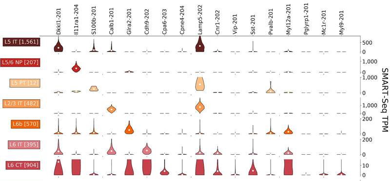 Subset of isoform atlast developed with SMART-Seq and 10xv3 data