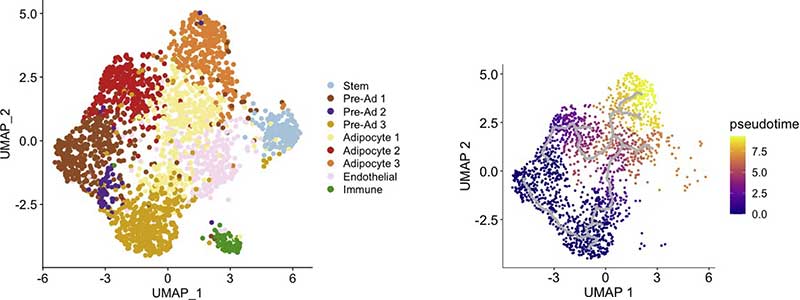 Single-cell full-length transcriptome analysis unravels heterogeneous ...