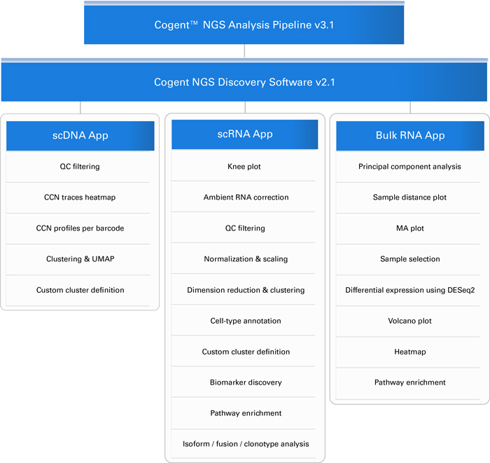 CogentDS workflow