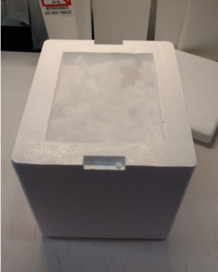 Dry ice packaging (with ice)