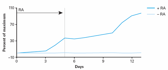 Induction and quantitation of miR-9 miRNA in mouse P19 cells