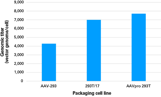 The AAVpro 293T Cell Line produces high titers of adenoassociated virus (AAV)