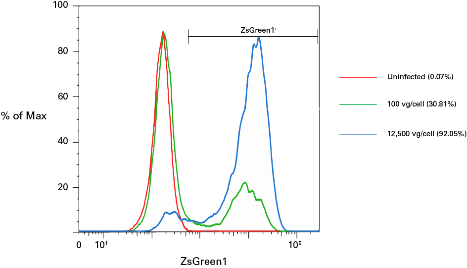 Analysis of ZsGreen1 expression in HEK 293 cells infected with AAV2-Cre particles