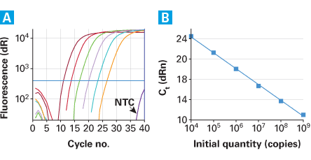 The qRT-PCR retroviral titration kit has a wide dynamic range