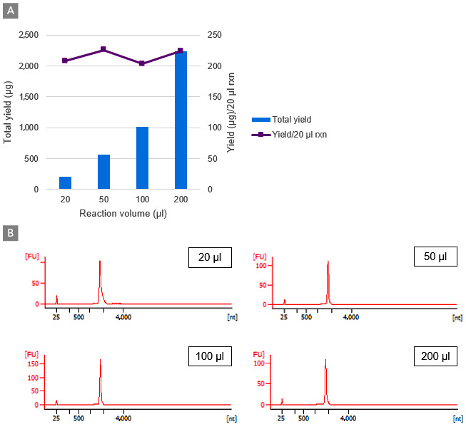 Increasing IVT reaction volume has no effect on RNA yield or quality.