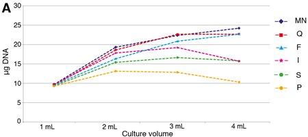 NucleoSpin Plasmid EasyPure provides high plasmid yields, even with increasing culture volumes, as shown via UV/VIS spectroscopy