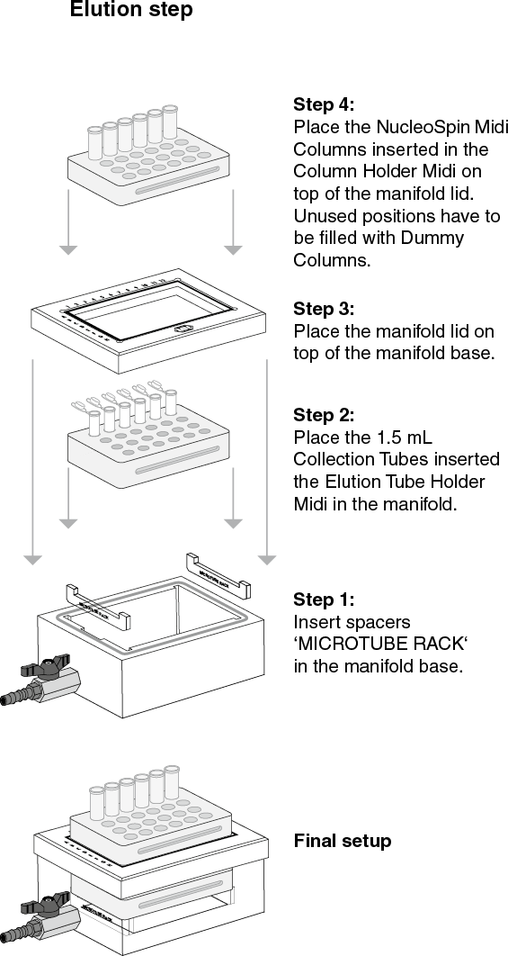 NucleoSpin Plasma Midi procedure: elution step