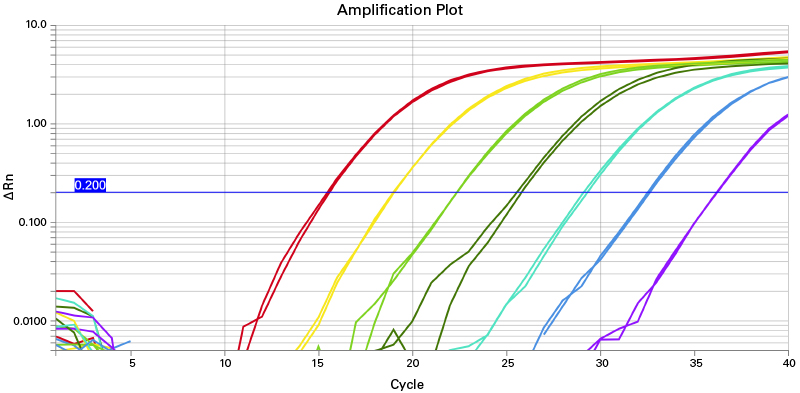 Excellent dynamic range of 5X One Step PrimeScript III RT-qPCR Kit, GPR