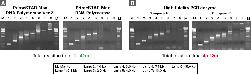 Comparison of amplification efficiency of PrimeSTAR Max DNA Polymerase Ver.2 for long PCR products with competitor enzymes