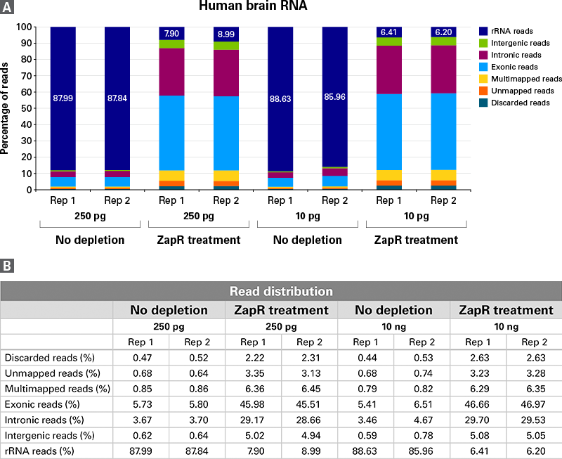 SMARTer Stranded Total RNA-Seq Kit