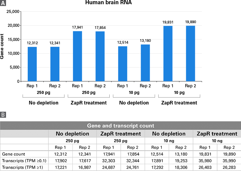 Superior gene and transcript detection across a wide input range