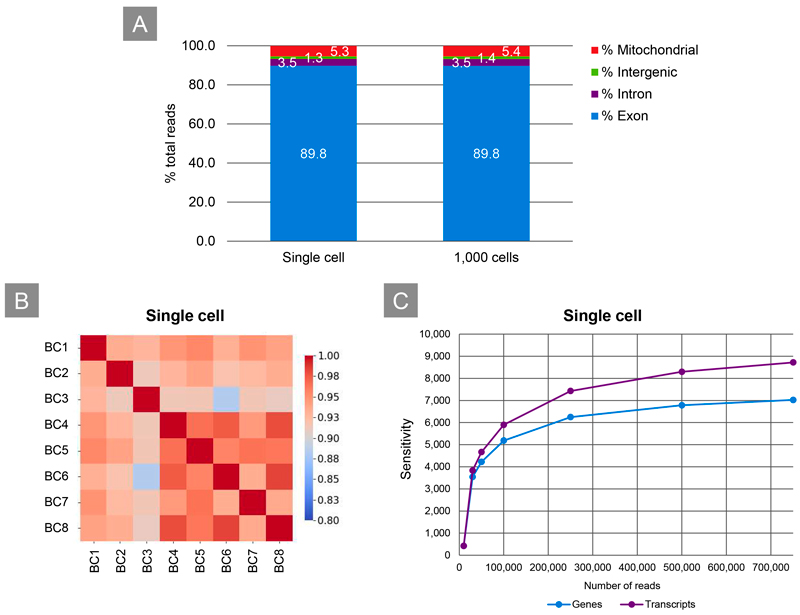 SMART-Seq mRNA LR is compatible with direct cell inputs.