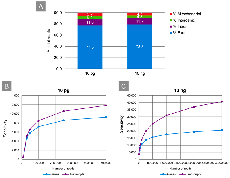 SMART-Seq mRNA Long Read demonstrates high sensitivity across a broad range of inputs.