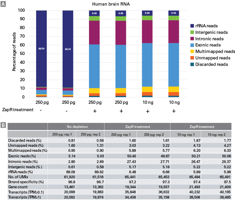 Ribosomal rRNA depletion and gene and transcript counts for human brain total RNA-seq libraries