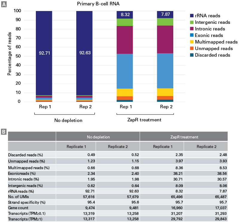 Ribosomal rRNA depletion and gene and transcript counts for primary B-cell total RNA-seq libraries