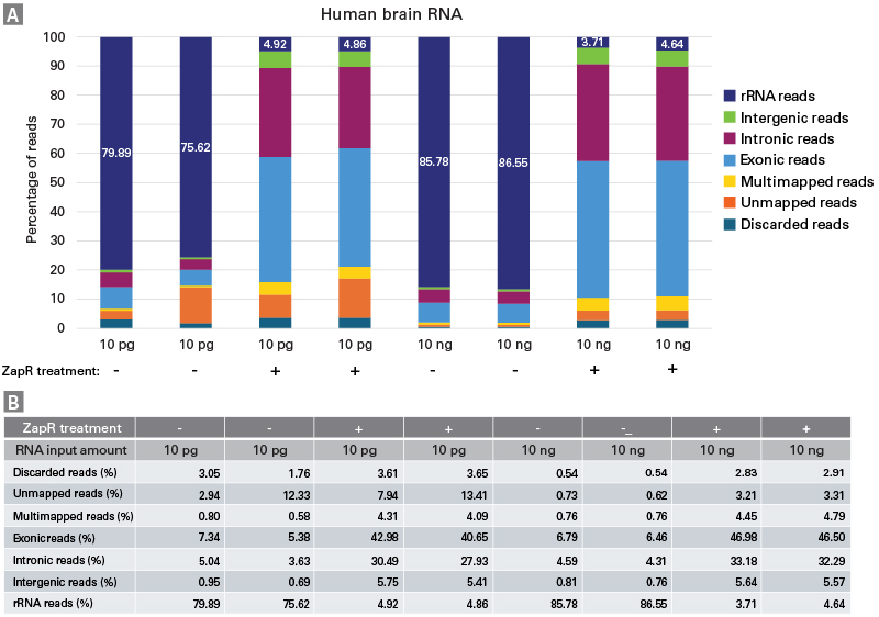 Efficient depletion of rRNA-derived cDNAs across a wide input range