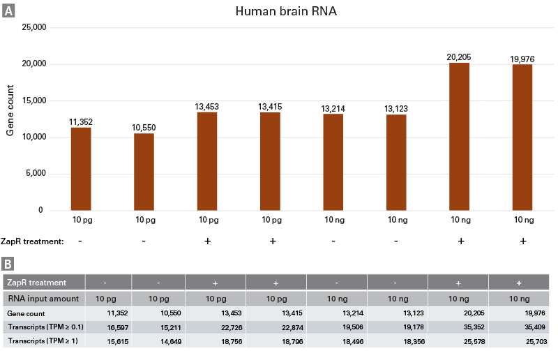 Superior gene and transcript detection across a wide input range