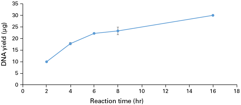 Yield of phi29 DNA Polymerase reactions over time