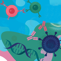 Cells antibodies virus and DNA